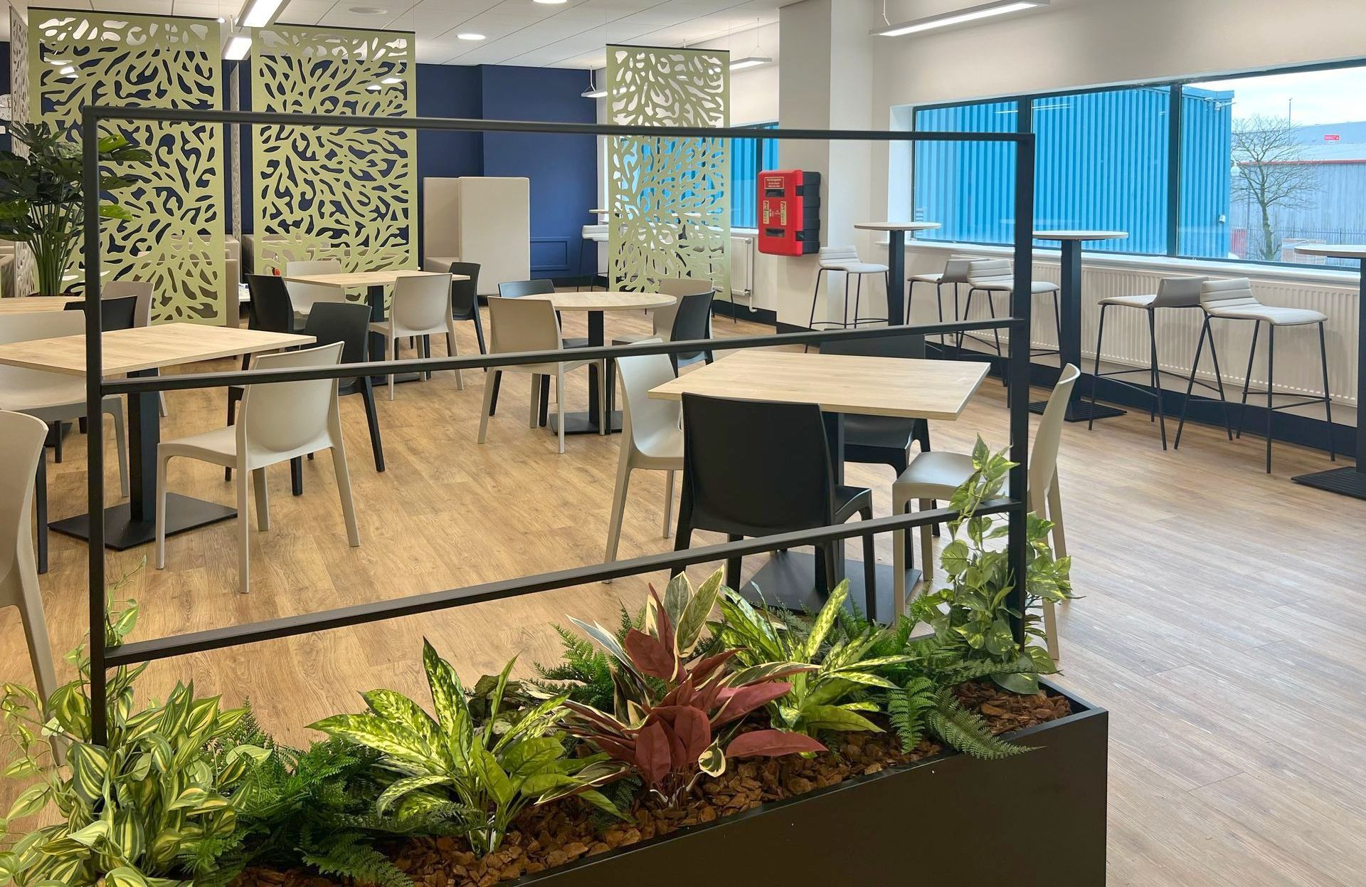 Autex acoustic ceiling-hung screens in a modern canteen space with bistro tables, café chairs, soft seating and planters,