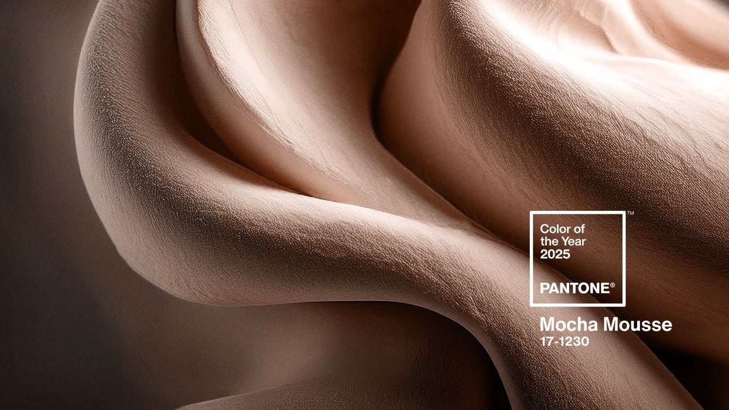 The color of the year is mocha mousse