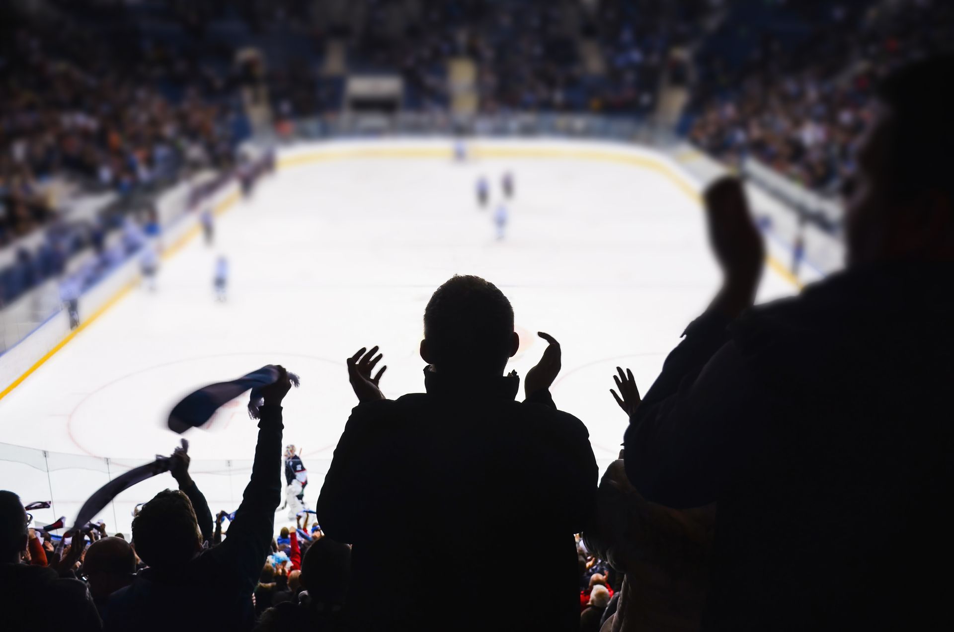 A crowd of people are watching a hockey game in a stadium.