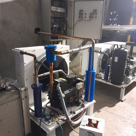 Un baño con una puerta de ducha corrediza de vidrio con un delfín y palmeras en ella.