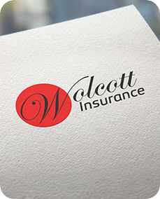 The Wolcott Group Inc