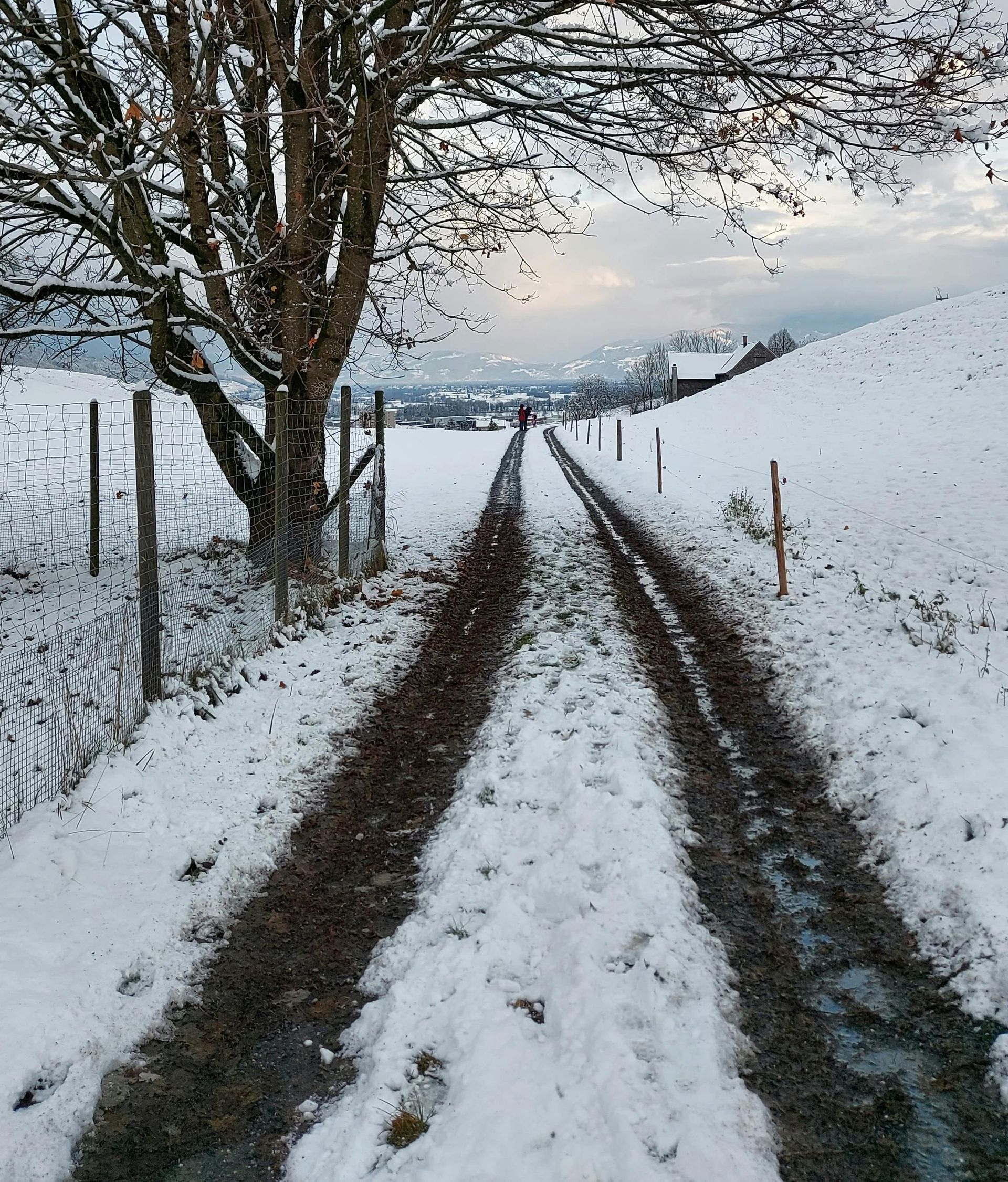 A dirt road going through a snowy field.