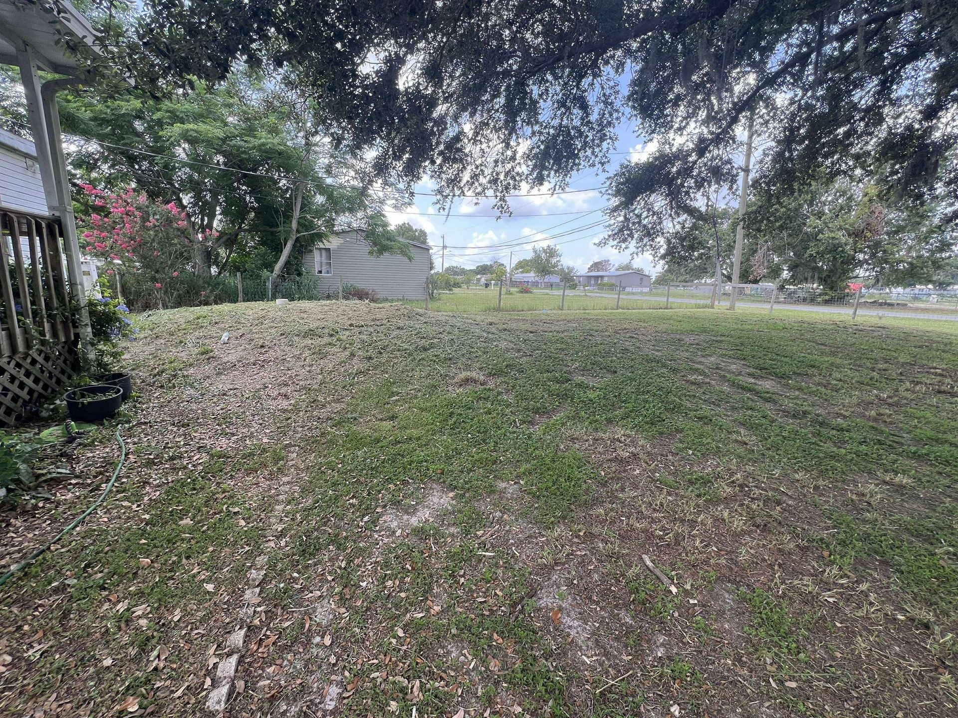 Grassy yard with some leaves and small building in background. Sunny day.