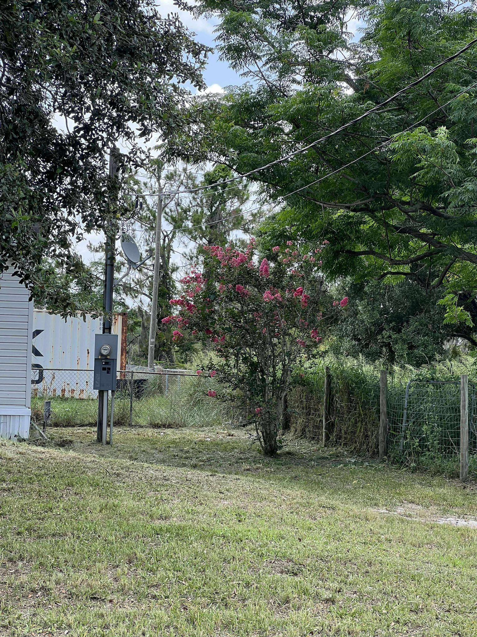 Green yard with blooming pink tree, utility pole, and trailer visible.