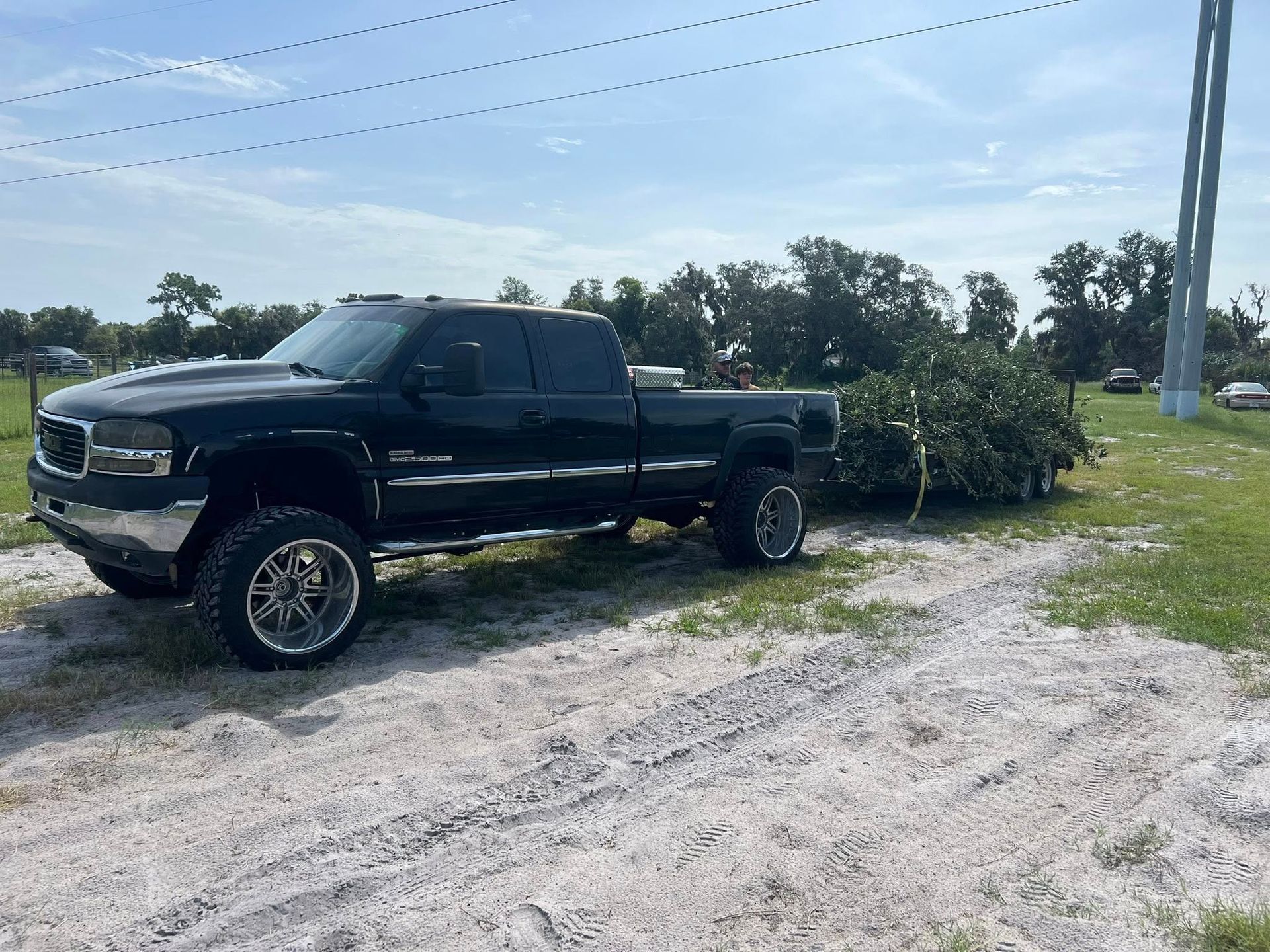 Dark truck parked on a dirt road, towing a green bush in a grassy field under a blue sky.