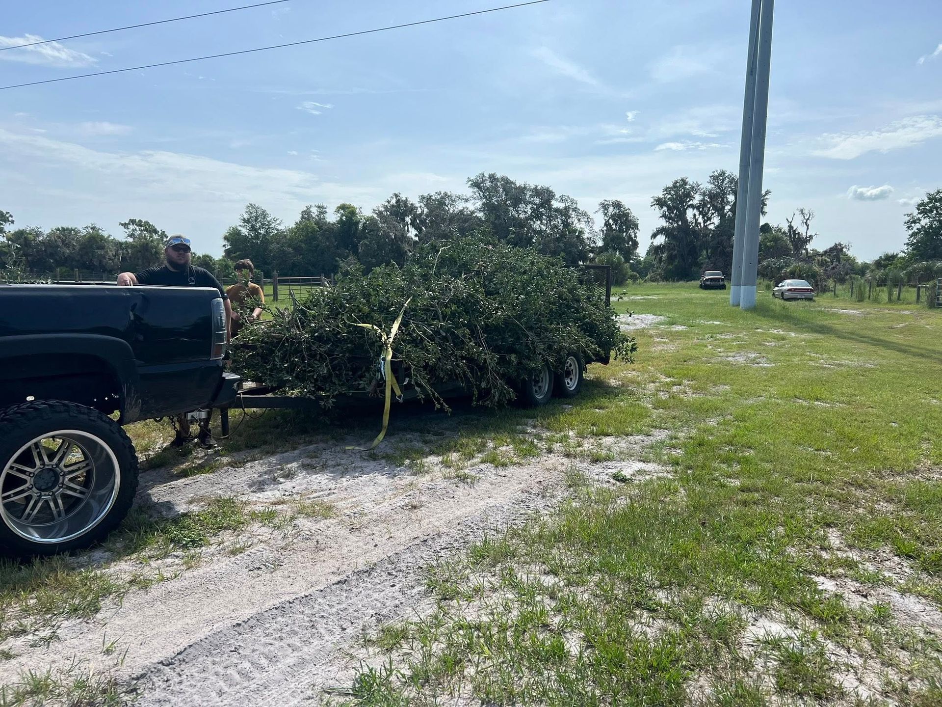 Black truck towing a trailer loaded with a large bush on a grassy field under a blue sky.