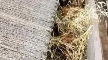 roofing companies near me