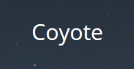 Coyote