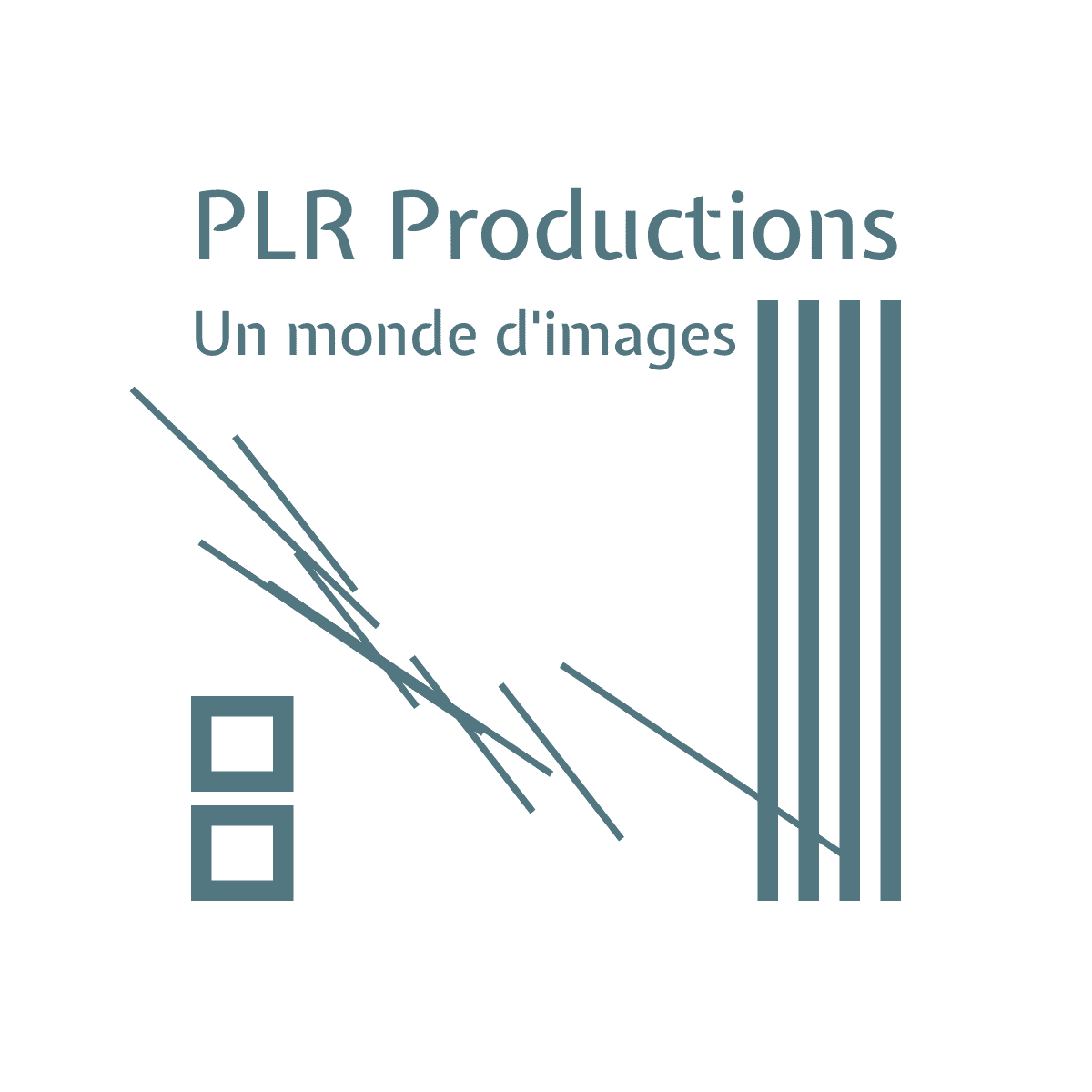 PLR PRODUCTIONS