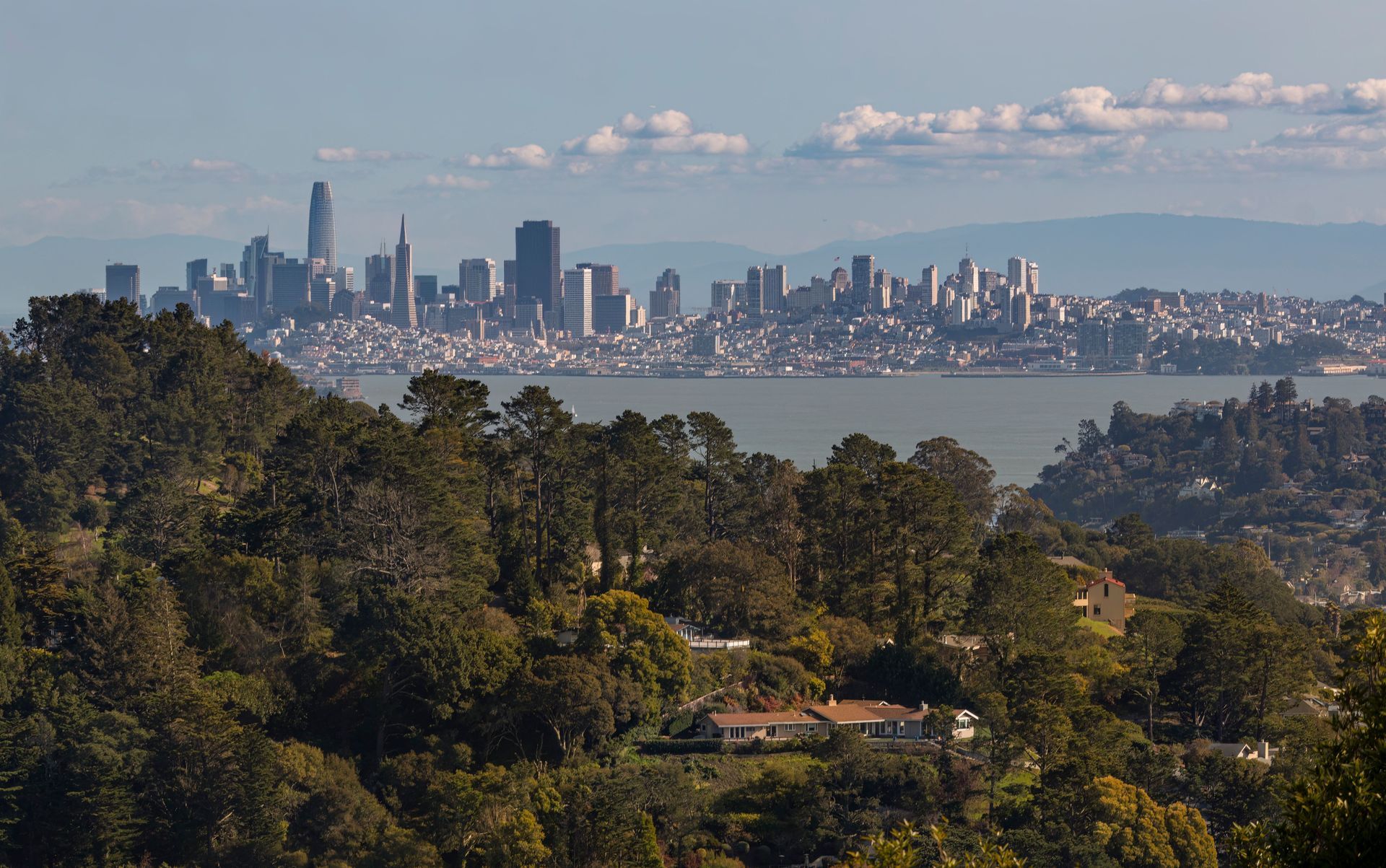 Skyline of San Francisco across the bay, seen beyond a tree-covered hillside under a clear blue sky.