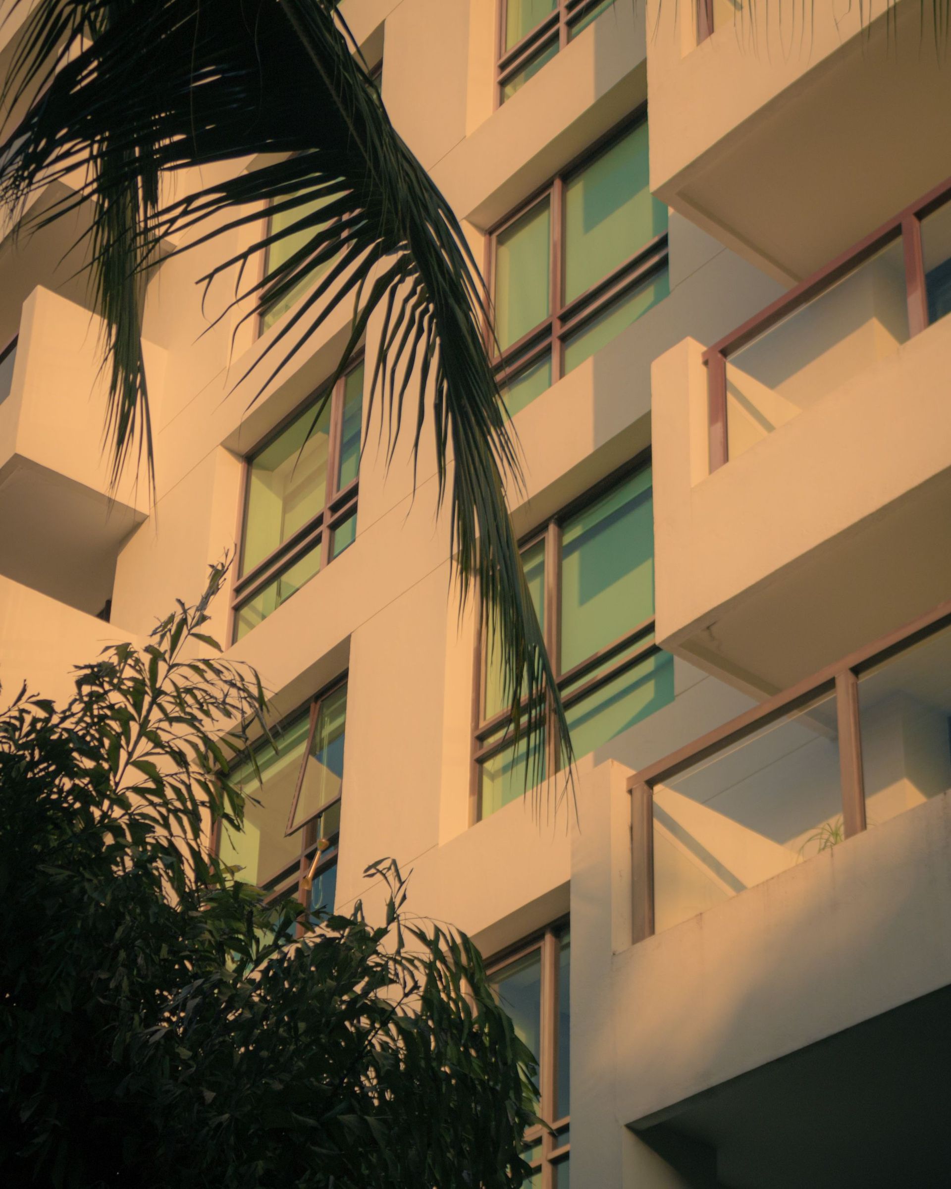 Sunlit apartment building with balconies and palm fronds in front