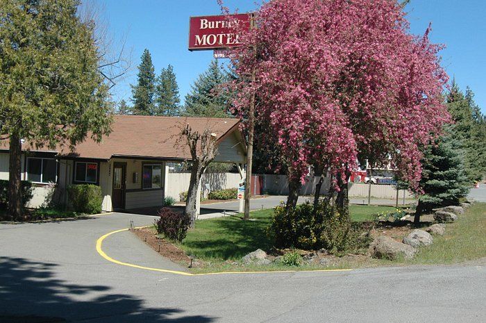 A motel with pink flowers in front of it