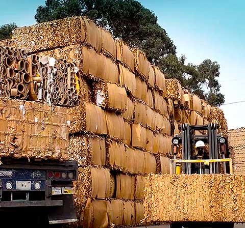 Cajas cartón Andina