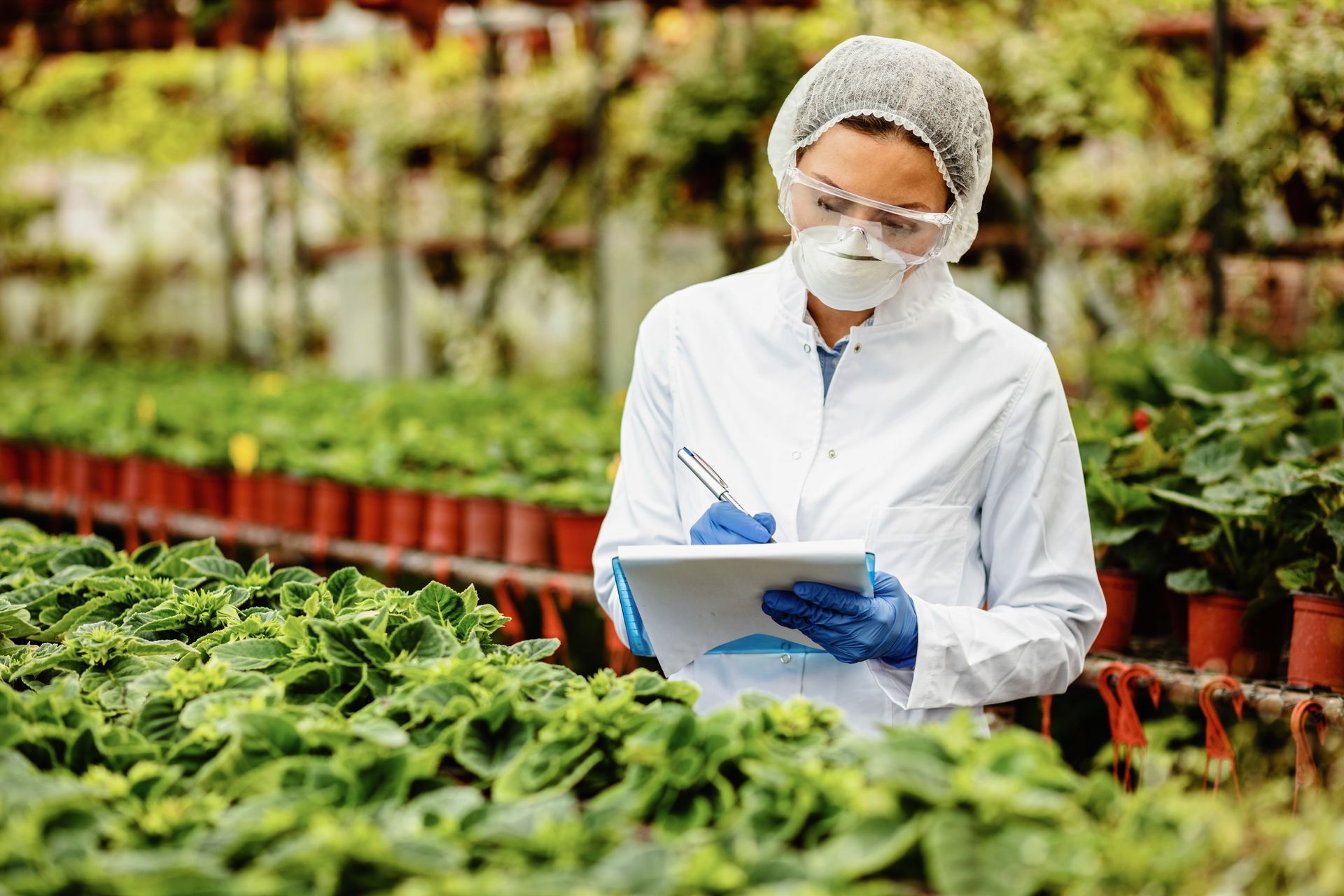 cajas para la industria agropecuaria