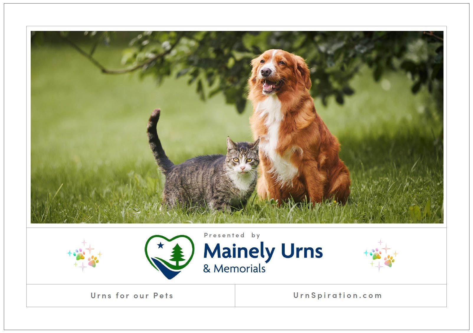 A dog and a cat are sitting next to each other in the grass.