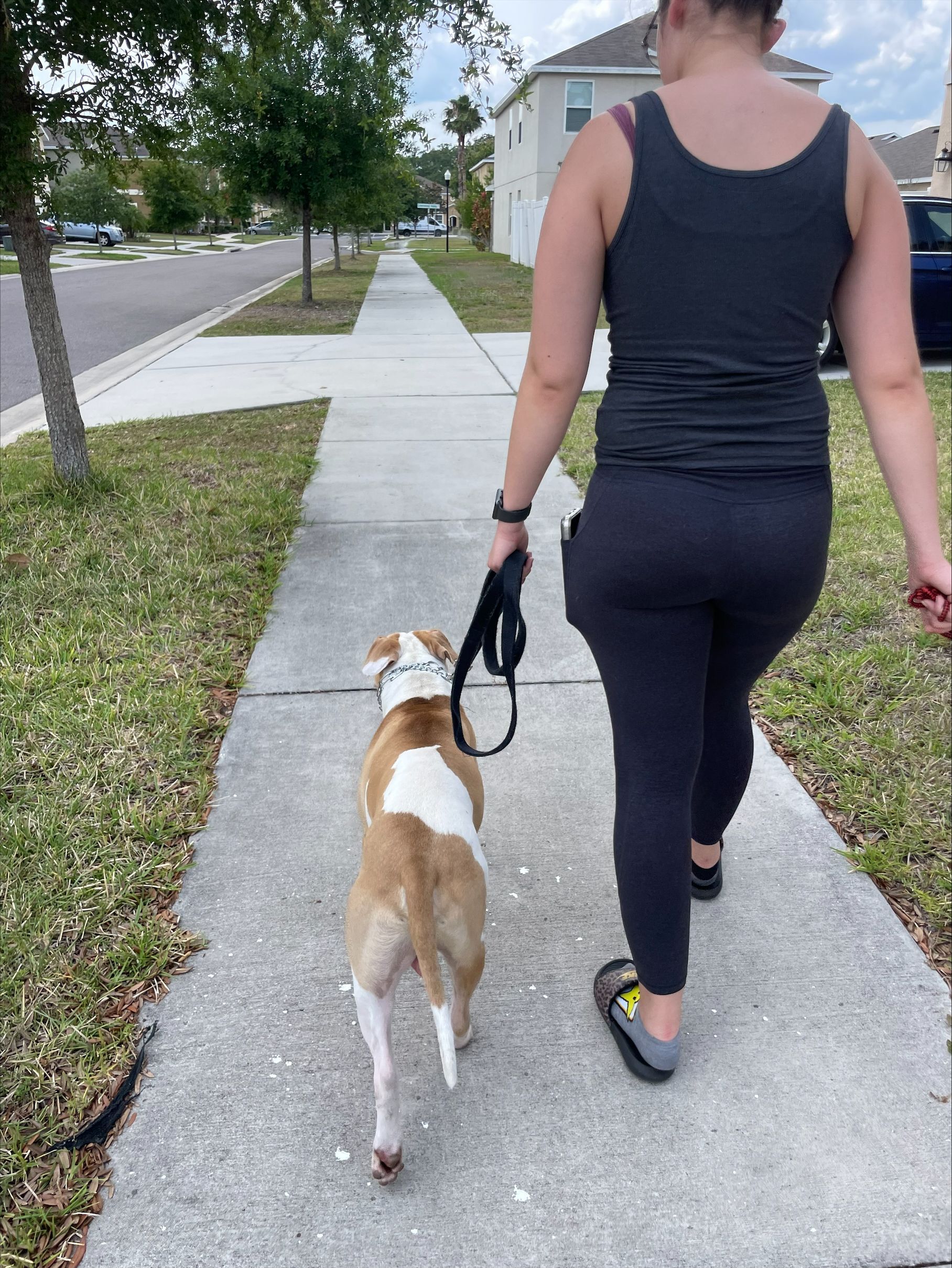 a woman is walking a dog on a leash down a sidewalk .