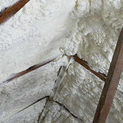 POLIURETANO CHIHUAHUA EL DORADO 