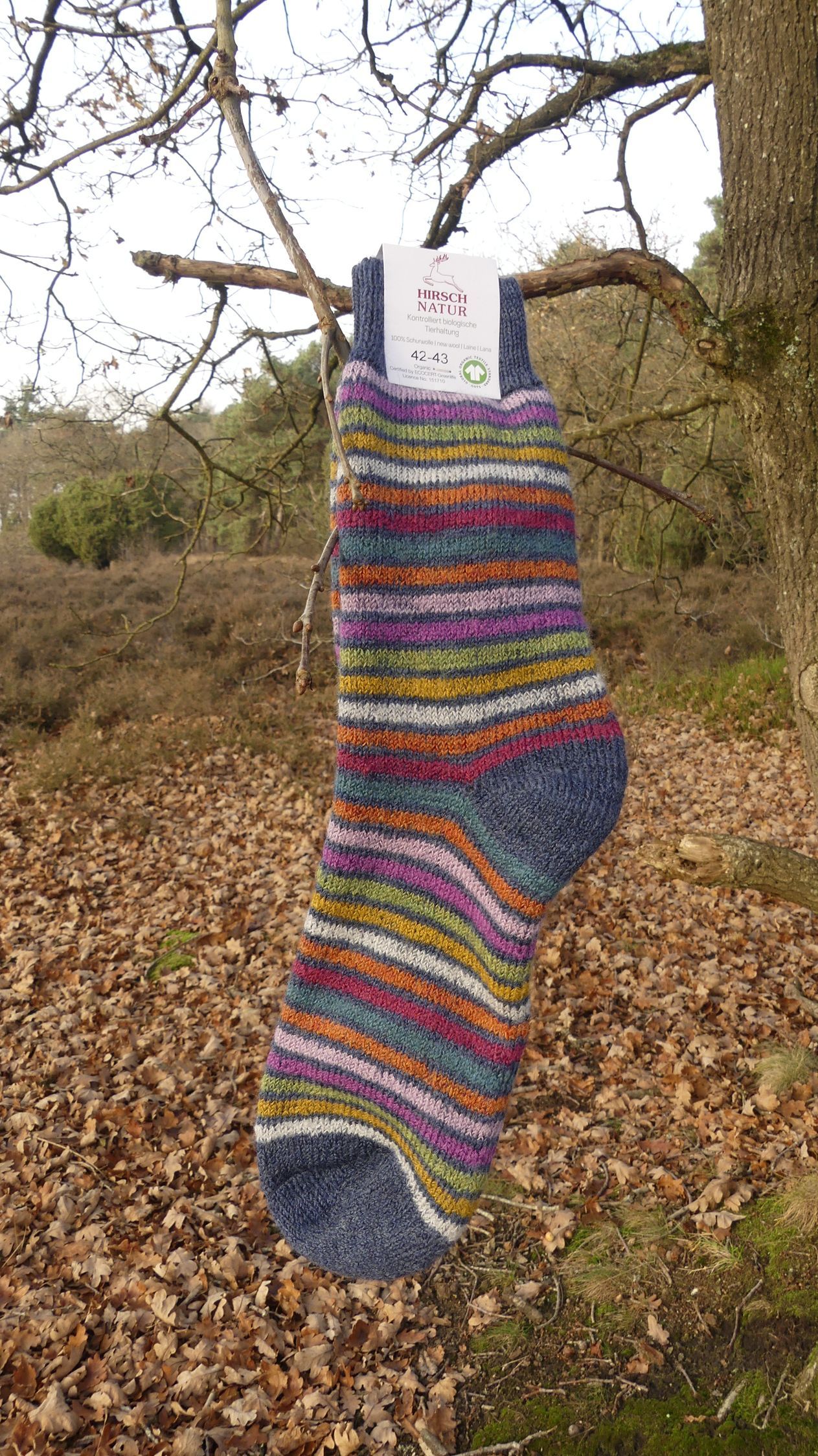 Wollen sokken pluchezool, blauw met gekleurde strepen