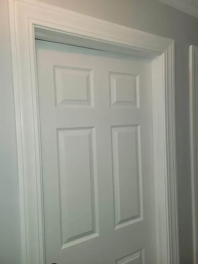 windows and doors replacement project