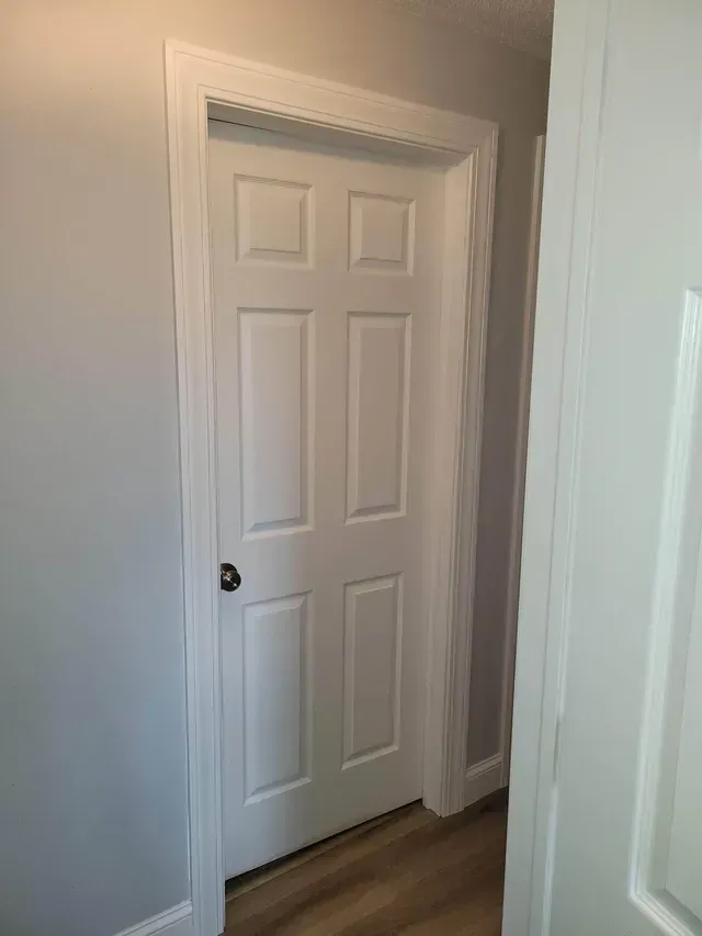 windows and doors replacement project