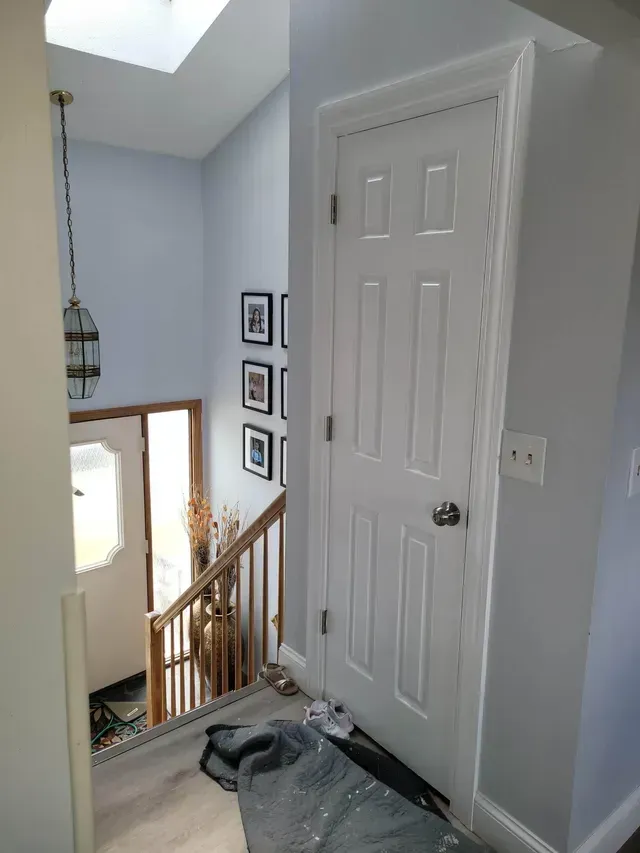 windows and doors replacement project