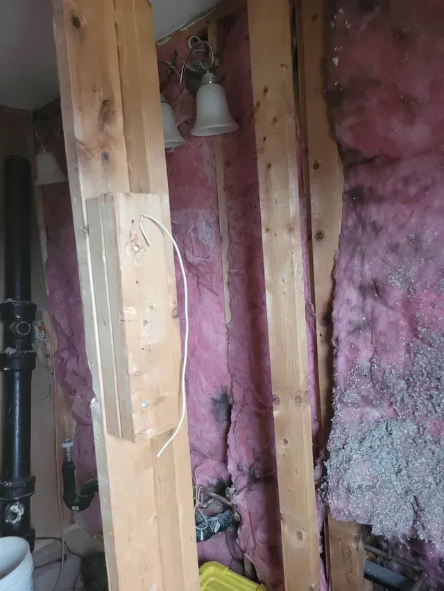 general remodeling project