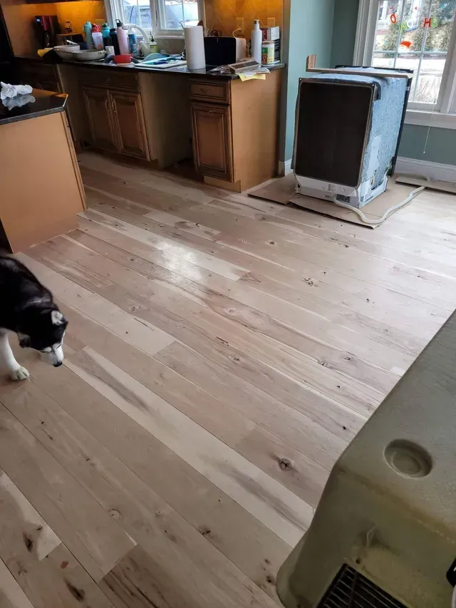 floor sand and finish project