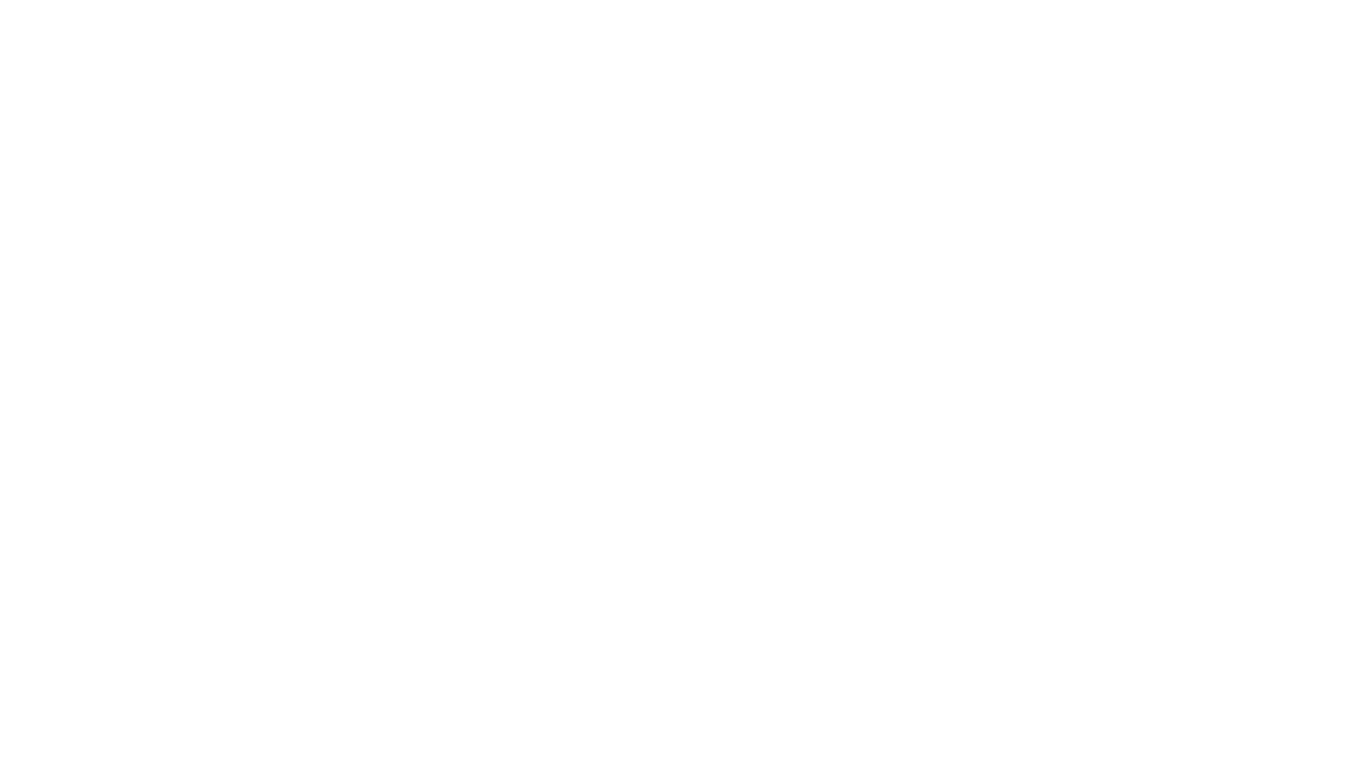 Second Line Technology logo.