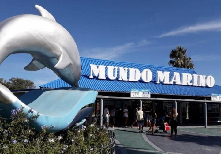 mundo marino