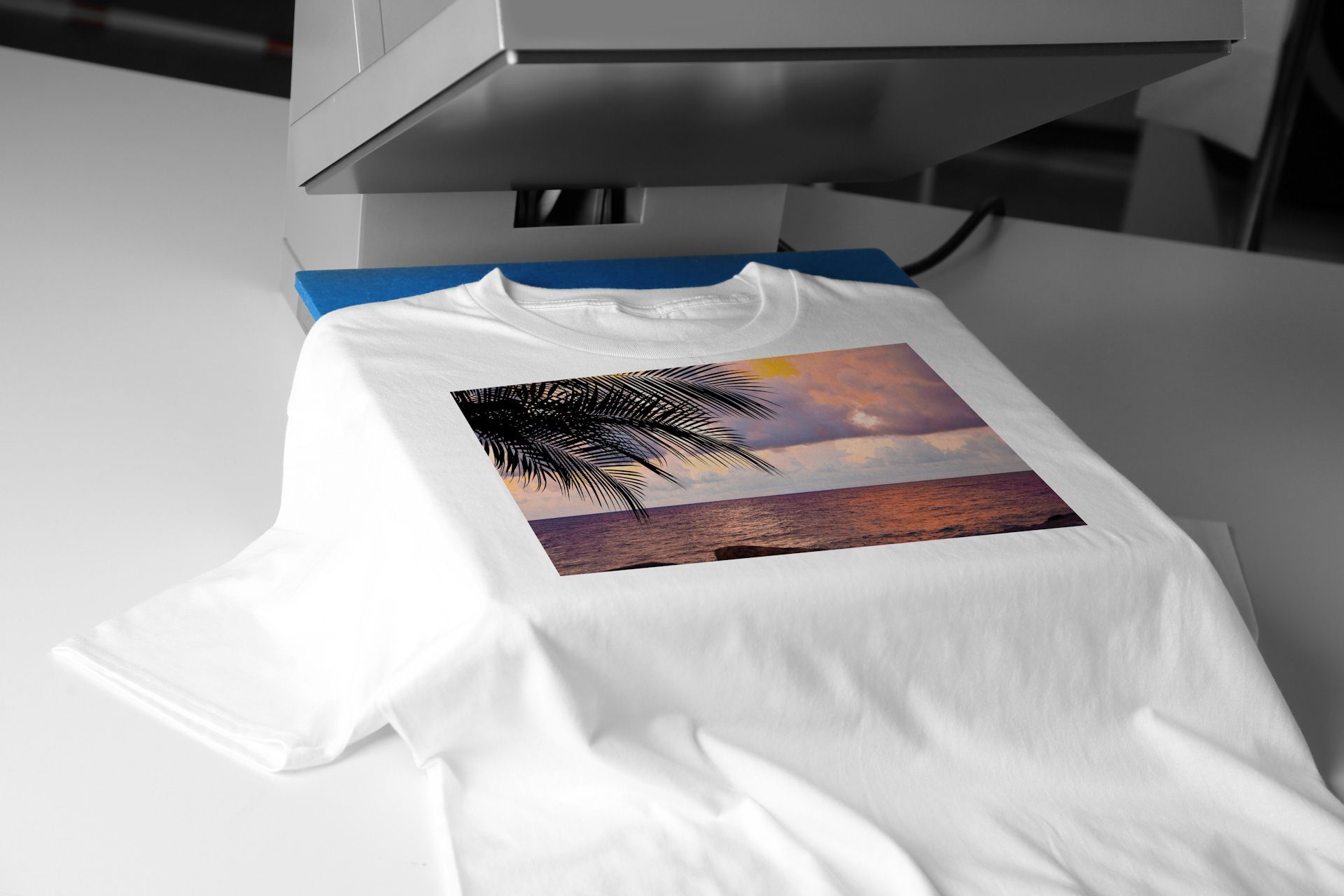 A white t-shirt with a picture of a palm tree on it