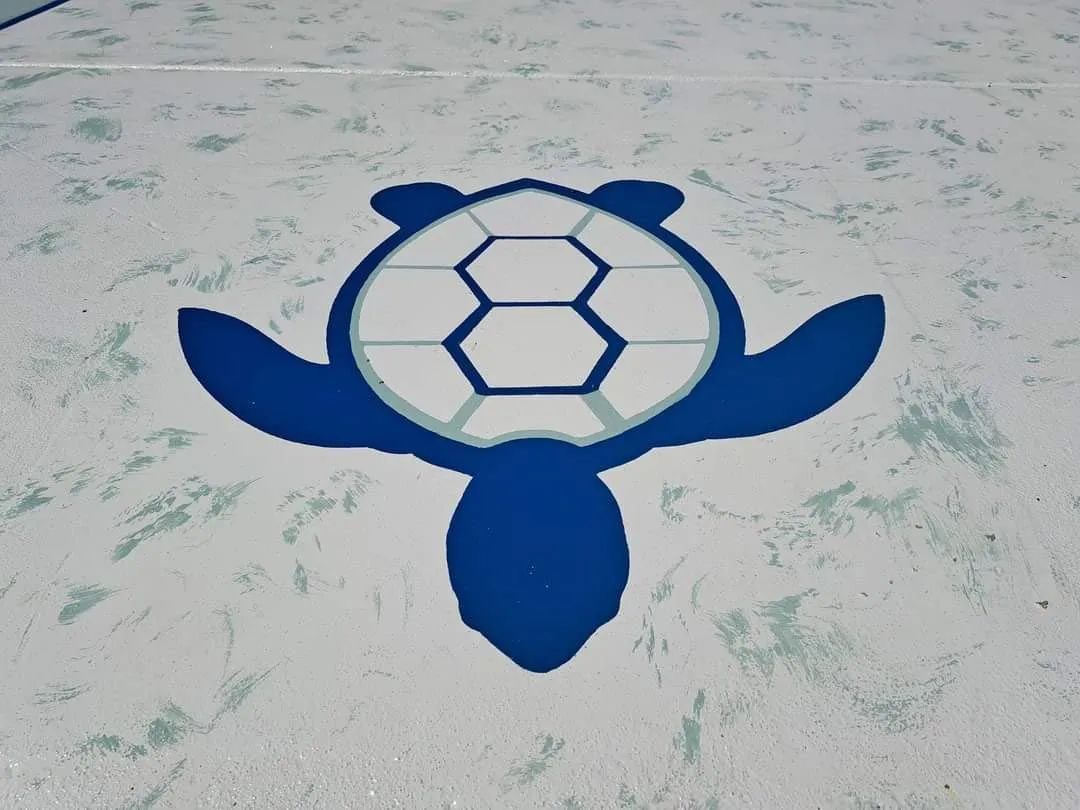 A blue and white turtle with the number 8 on its shell