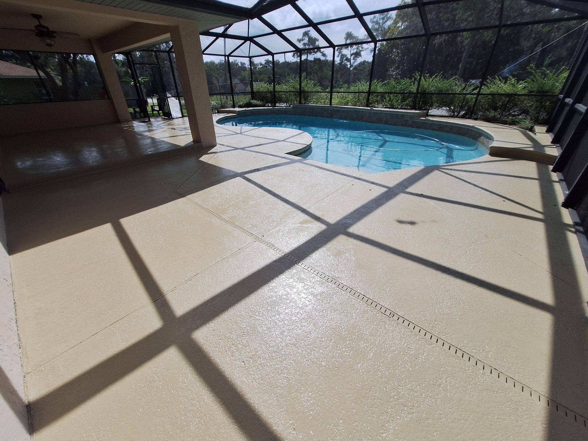 A large swimming pool is surrounded by a screened in area.