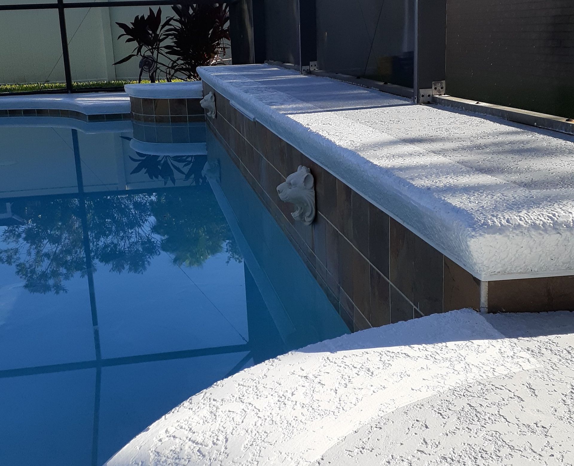 A swimming pool with a lion head on the edge