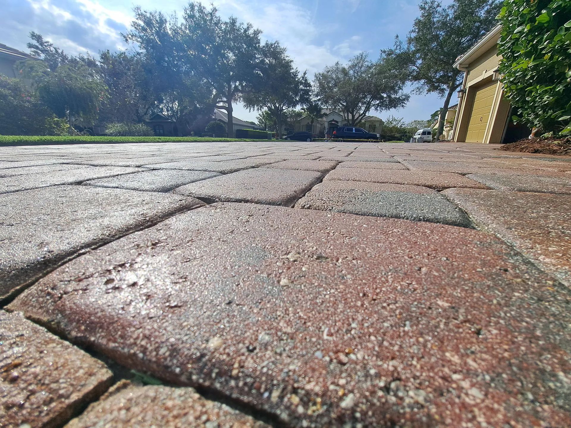 A close up of a brick driveway with trees in the background.
