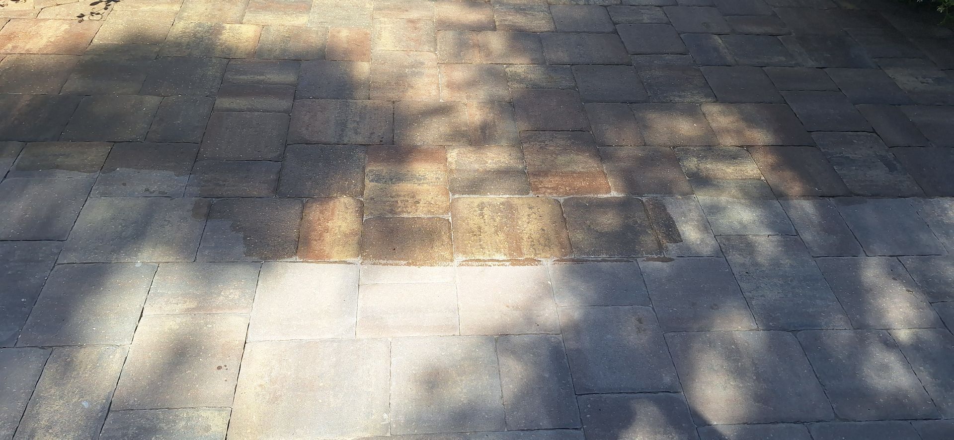 A shadow of a tree is cast on a brick walkway.