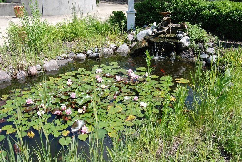 Supportive Living Pond | Tabor Hills