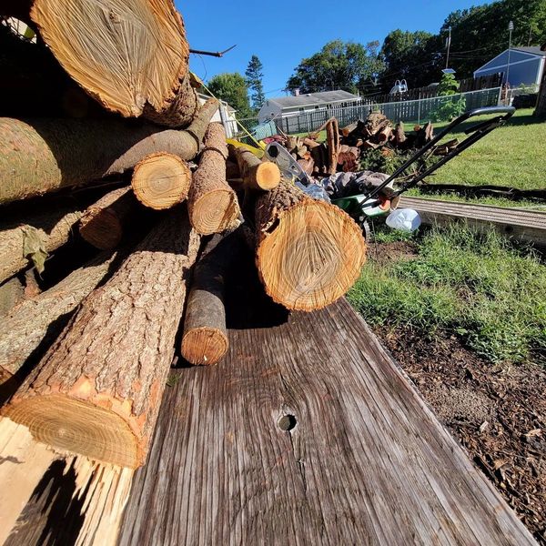 Pile of logs on a weathered wooden surface, with a backyard in the background.