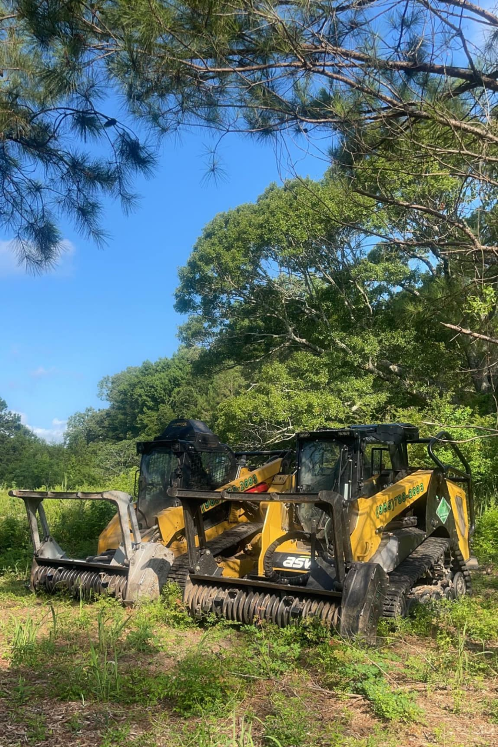 Yellow and black forestry mulcher machine in a grassy area with trees and blue sky.