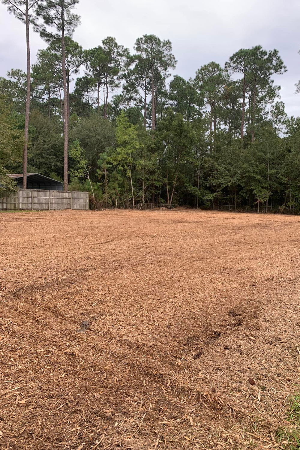 A cleared area covered in wood chips, with trees in the background under a cloudy sky.