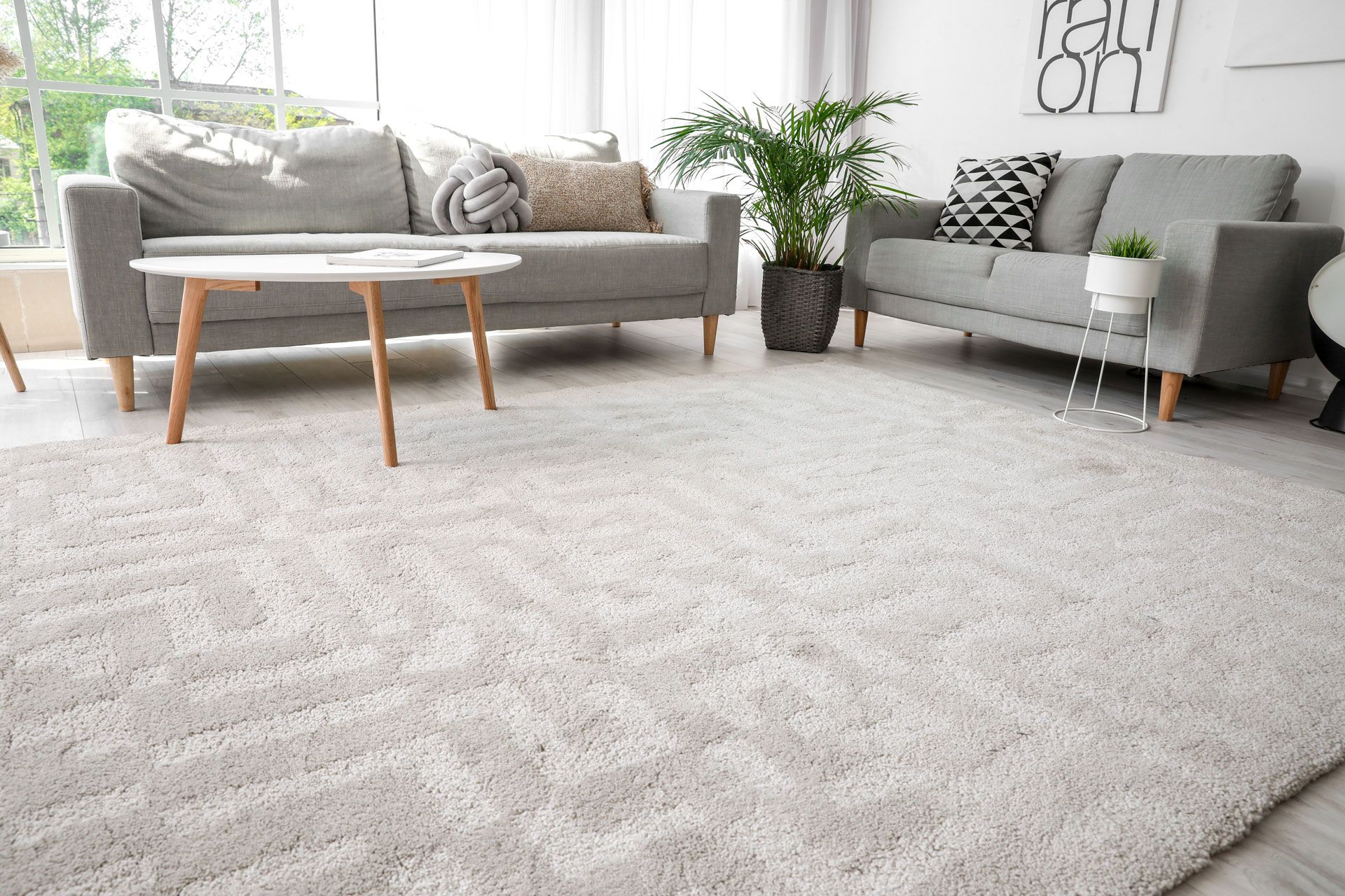 Bright living room with two gray sofas, wooden coffee table, and large light gray rug