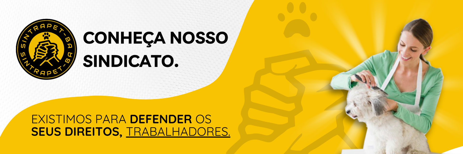 Um grupo de veterinários e seus cães estão parados um ao lado do outro.