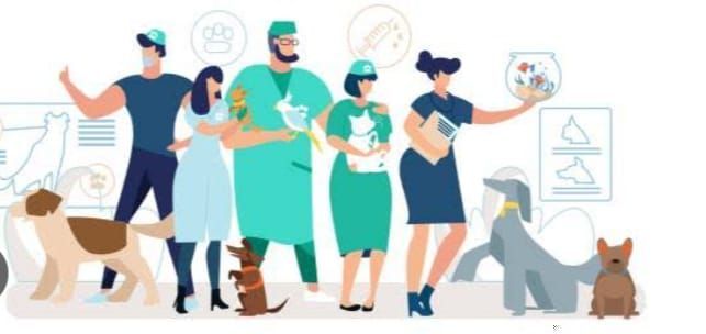 Um grupo de veterinários e seus cães estão parados um ao lado do outro.