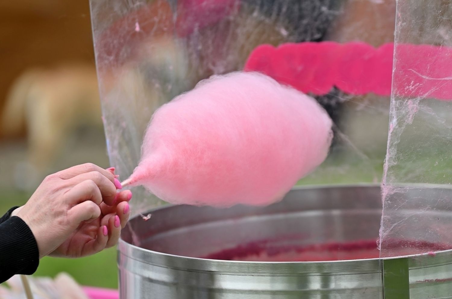 A person is making pink cotton candy from a machine.