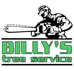 The logo for billy 's tree service shows a man holding a chainsaw.