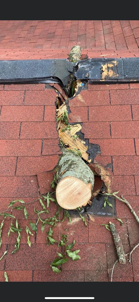 A tree branch is sticking out of a hole in a roof.