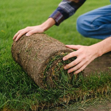 A person is rolling a roll of grass on the ground