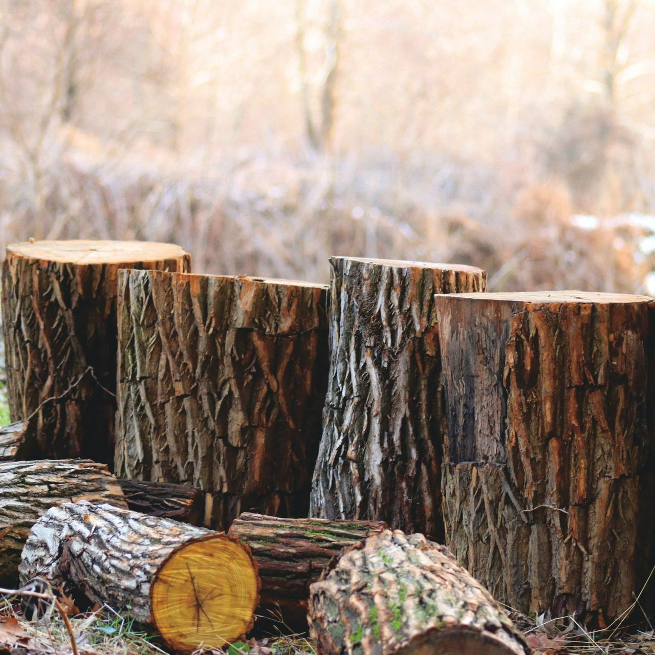 A bunch of logs are stacked on top of each other