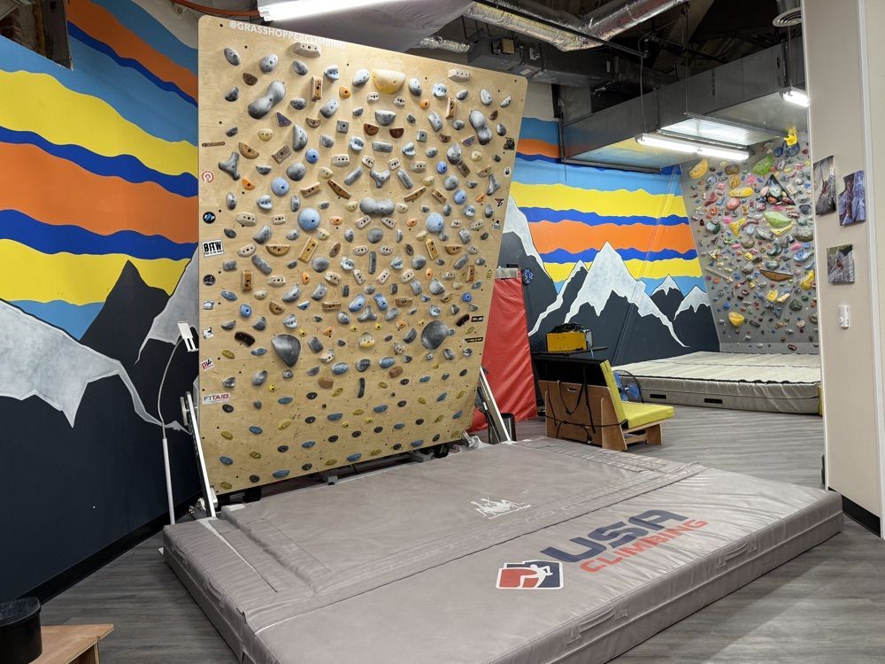 GRASSHOPPER ADJUSTABLE LED SYSTEMS WALL