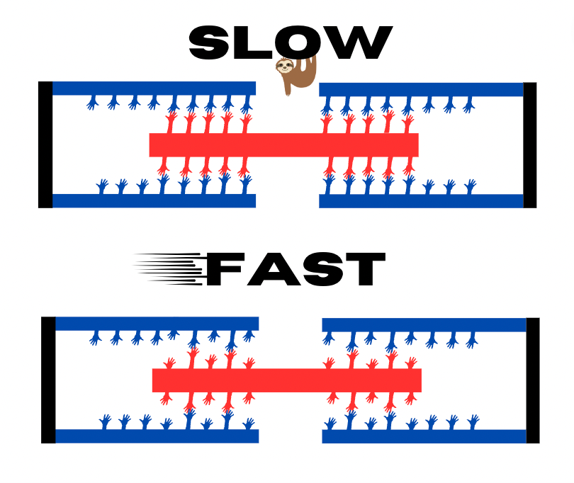 More Crossbriding