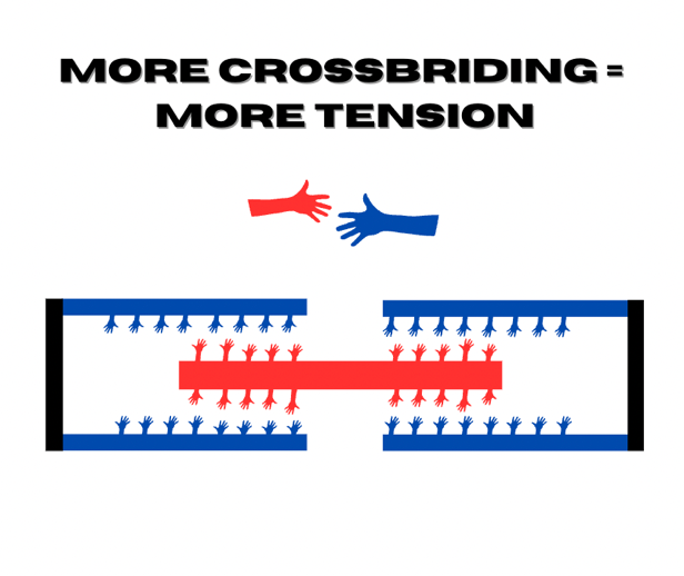 More Crossbriding